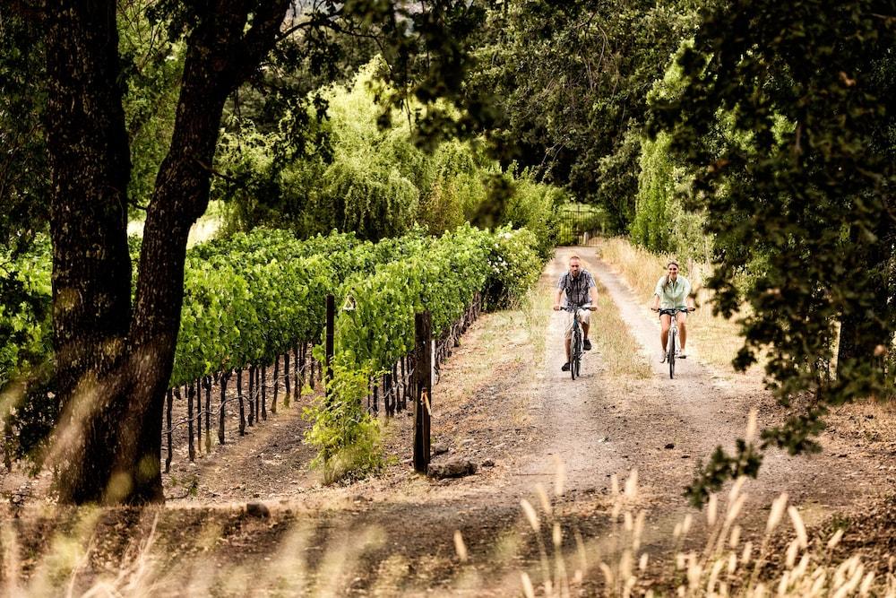 Andaz Napa, By Hyatt Hotel Eksteriør billede